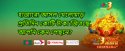 স্লট গেমের ফ্রি স্পিন promotion
